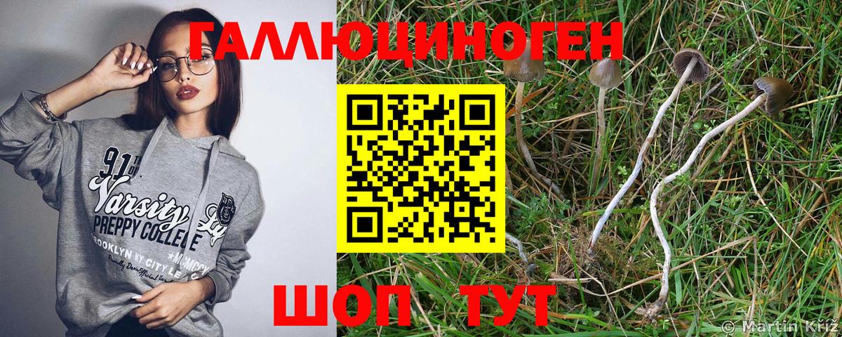 магазин продажи наркотиков  Вход с VPN  Приморско-Ахтарск  Галлюциногенные грибы GOLDEN TEACHER 