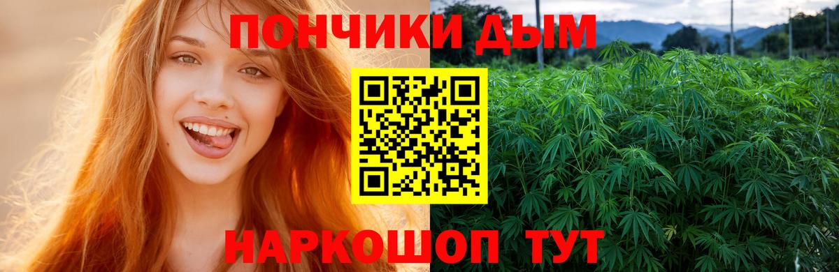 Бошки марихуана конопля Приморско-Ахтарск